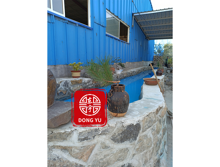 工厂新建鱼池1